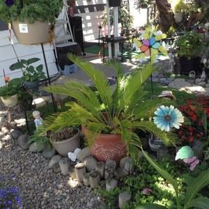 Meet your Posher, Carolyn